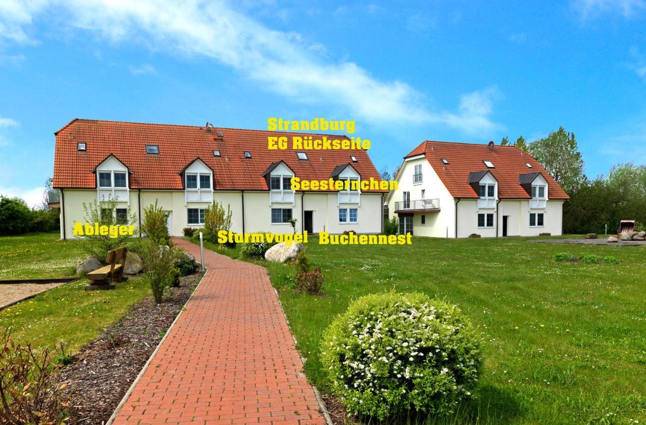 Apartamento Gollwitzer Park Oase Poel Exterior foto